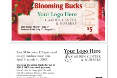 BloomingBucks-1008 Poinsettia