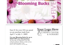 BloomingBucks-1011 Coneflower