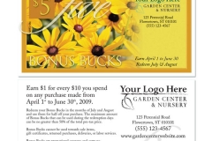 Elegant-3002 Rudbeckia