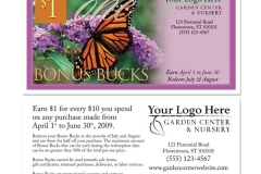 Elegant-3006 Monarch Butterfly Bush