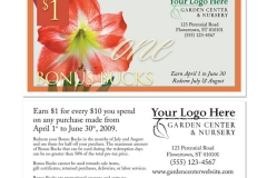 Elegant-3020 Amaryllis