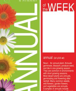 Annual Of The Week - Image 5
