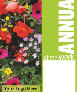 Annual Of The Week - Image 4