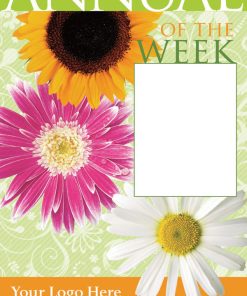 Annual Of The Week - Image 3