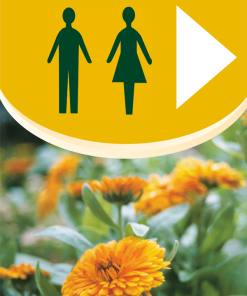 Alternative view of Directional Signs