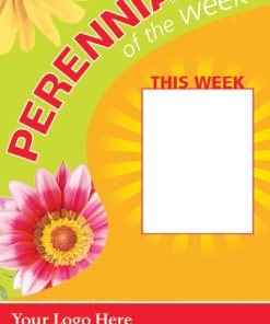 Alternative view of Perennial Of The Week
