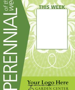 Perennial Of The Week - Image 8