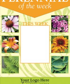 Perennial Of The Week - Image 7