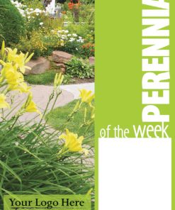 Perennial Of The Week - Image 5