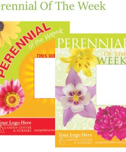 Perennial Of The Week