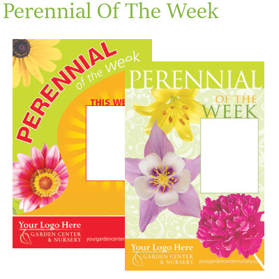 Perennial Of The Week