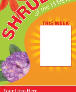 Shrub Of The Week - Image 8