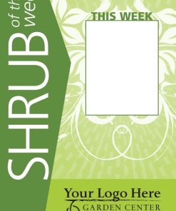 Shrub Of The Week - Image 7
