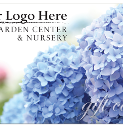 1029 - Blue Hydrangea