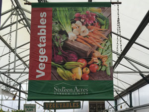 5-store