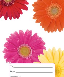 Gift Cards Display Holder - GCDH1005