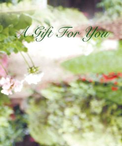 Alternative view of Gift Cards Display Holder - GCDH1008