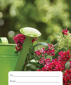 Gift Cards Display Holder - GCDH-1018
