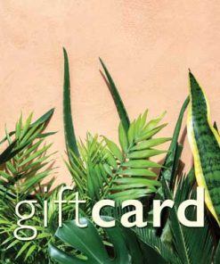 1044 - Houseplants