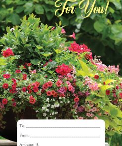 Gift Cards Display Holder - GCDH-1022