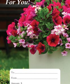 Gift Cards Display Holder - GCDH-1023