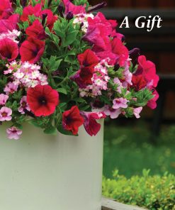 Alternative view of Gift Cards Display Holder - GCDH-1023