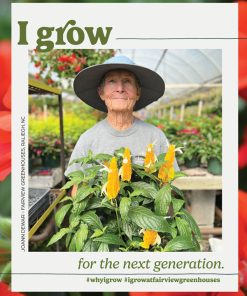 Grow Campaign Starter Package - Image 3