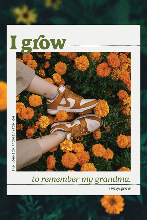 Grow Posters 24"x36" Corex - Image 4