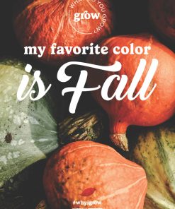My Favorite Color Is Fall - Image 4