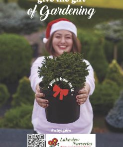 Give the Gift of Gardening - Image 3