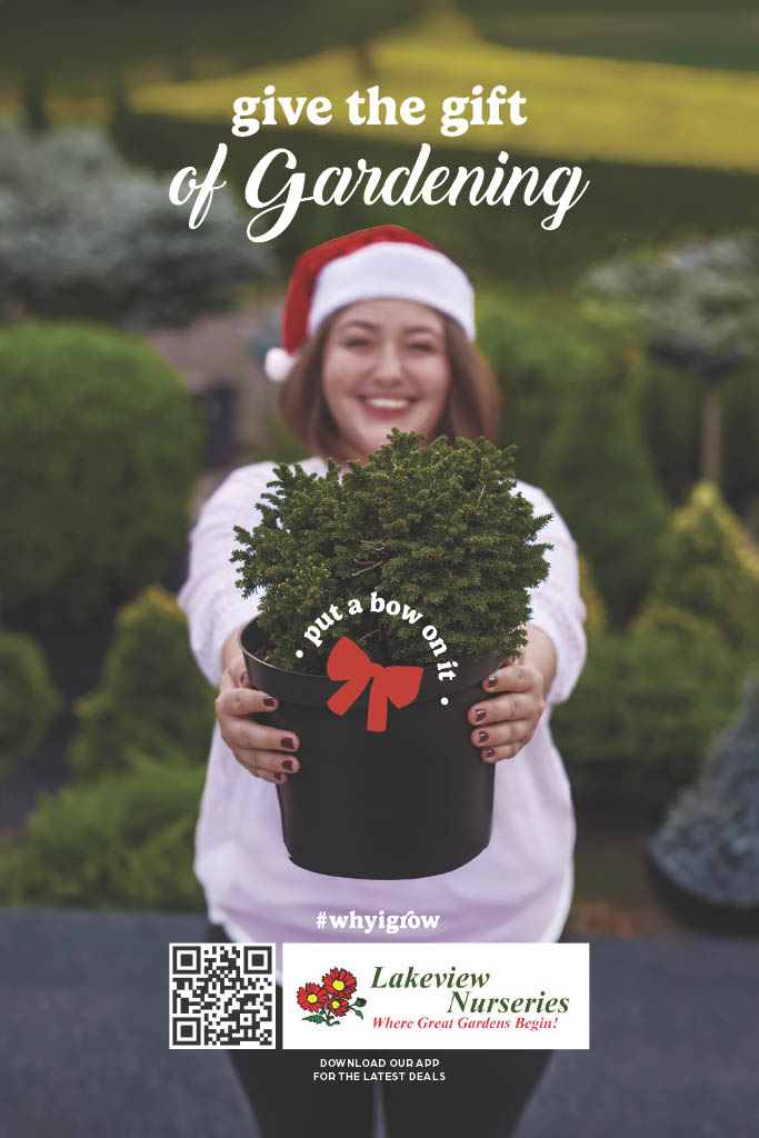 Give the Gift of Gardening - Image 3