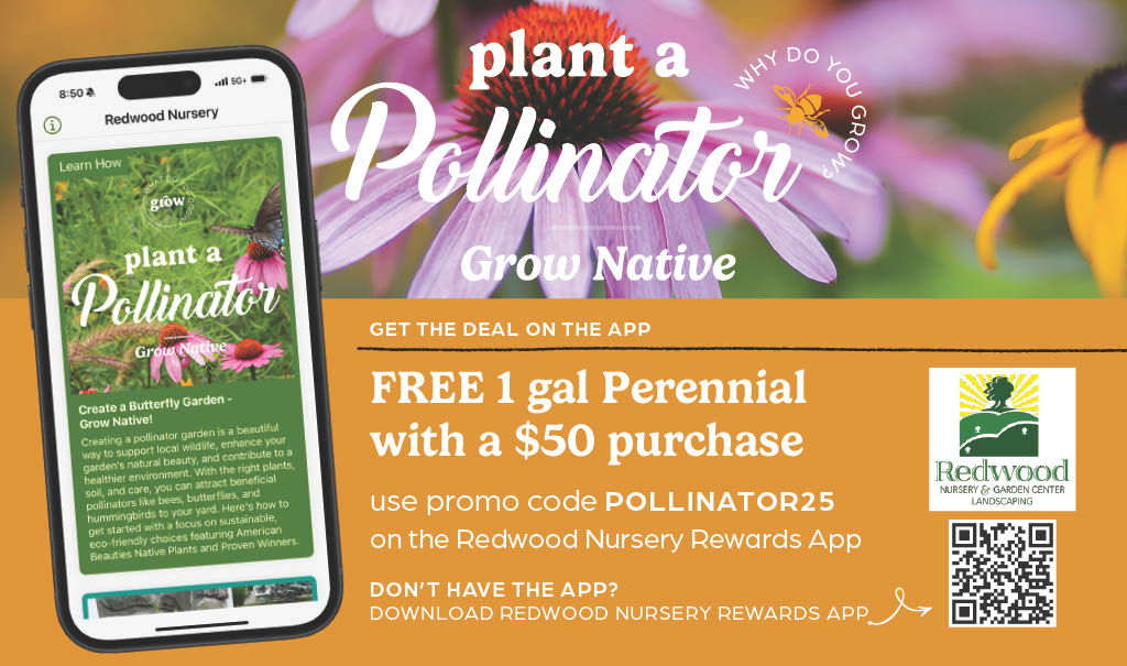 Plant A Pollinator - Image 9