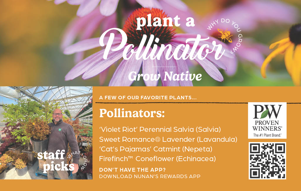 Plant A Pollinator - Image 12