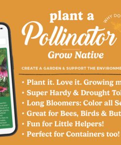 Plant A Pollinator - Image 10
