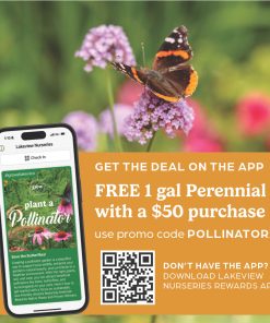 Plant A Pollinator - Image 8