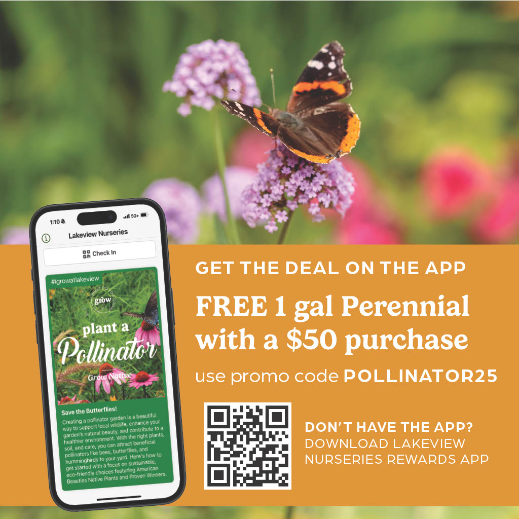 Plant A Pollinator - Image 8