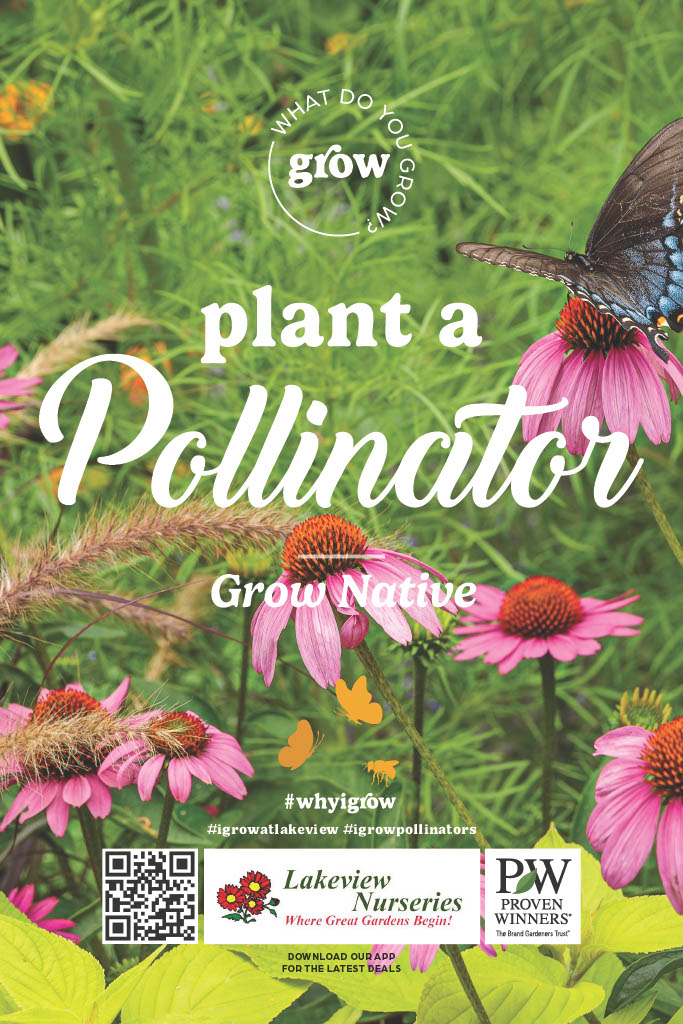 Plant A Pollinator - Image 3