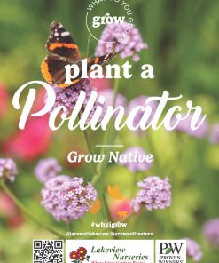 Plant A Pollinator - Image 2