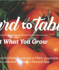 Yard To Table - Image 5