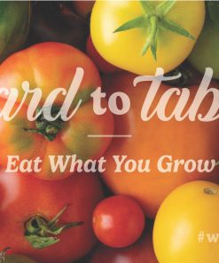 Yard To Table - Image 4