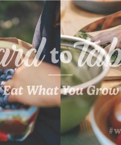 Yard To Table - Image 3