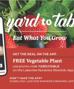 Alternative view of Yard To Table