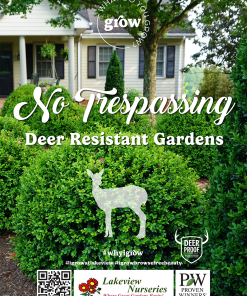 Deer Resistant Gardens