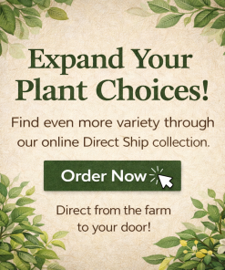 Social Media Graphics - Image 9