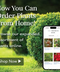 Social Media Graphics - Image 14