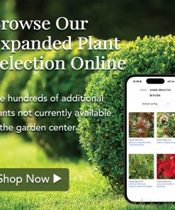 Social Media Graphics - Image 5